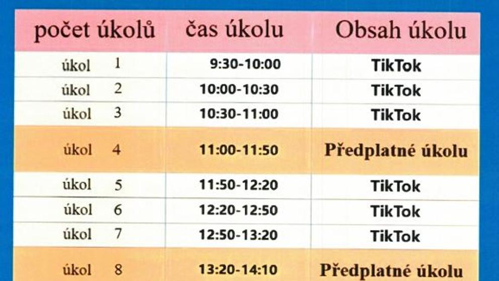 Internetový podvod (2)