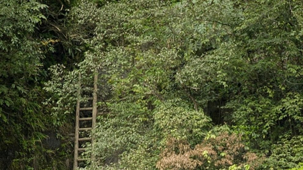Zhang Jiawan (Čína) - 2