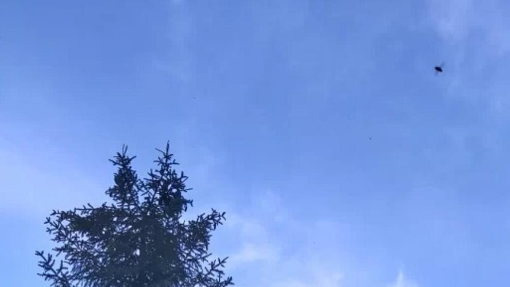 Senior se ztratil v Krkonoších, našli ho mrtvého - 3