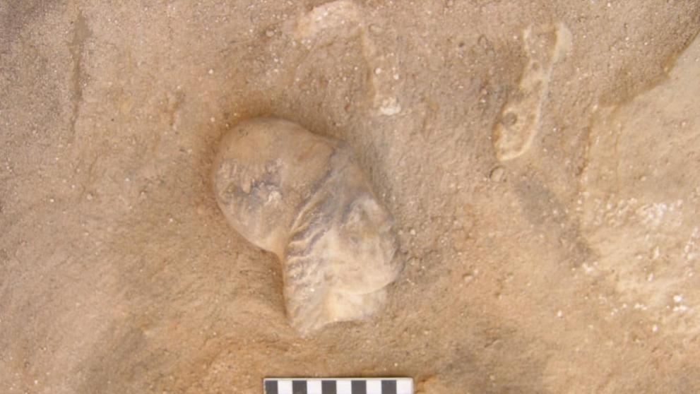 Archeologické vykopávky a nálezy