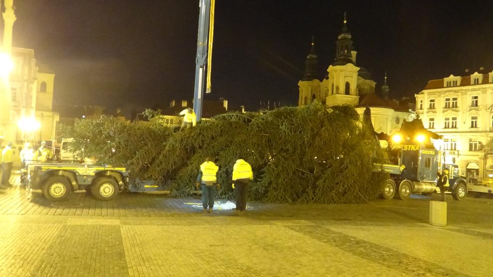 Strom přijel tradičně noblesním tahačem