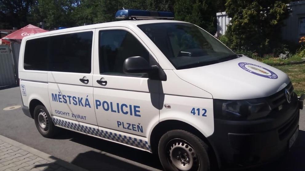 Psa měl někdo vyhodit z okna - 5
