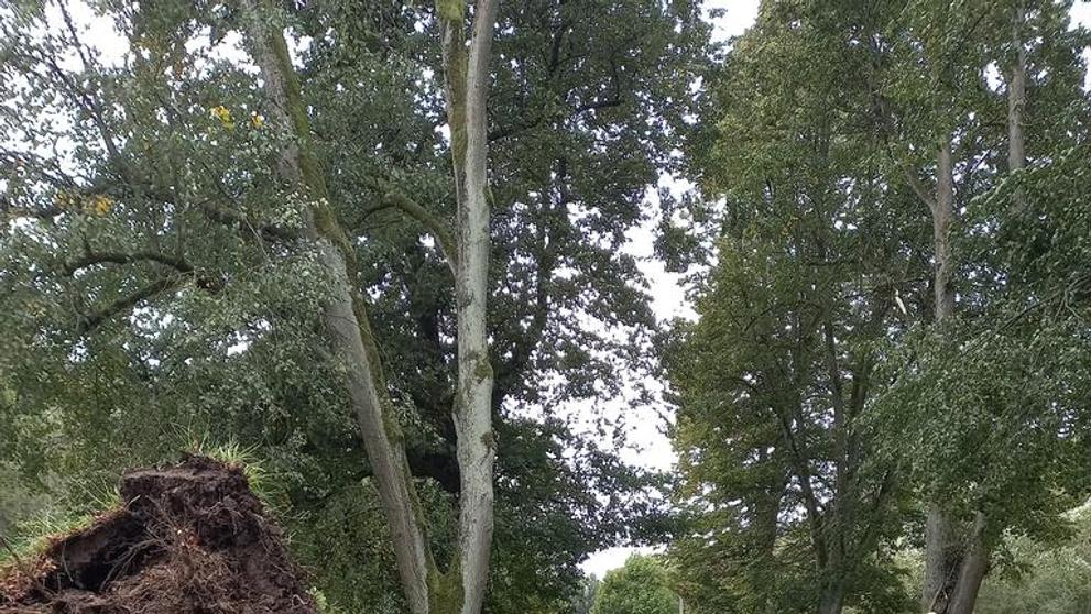 Následky silného větru v Královéhradeckém kraji