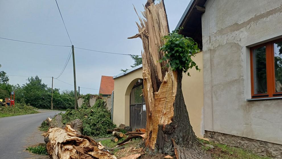 Sedlčany se vzpamatovávají z vichřice (7)