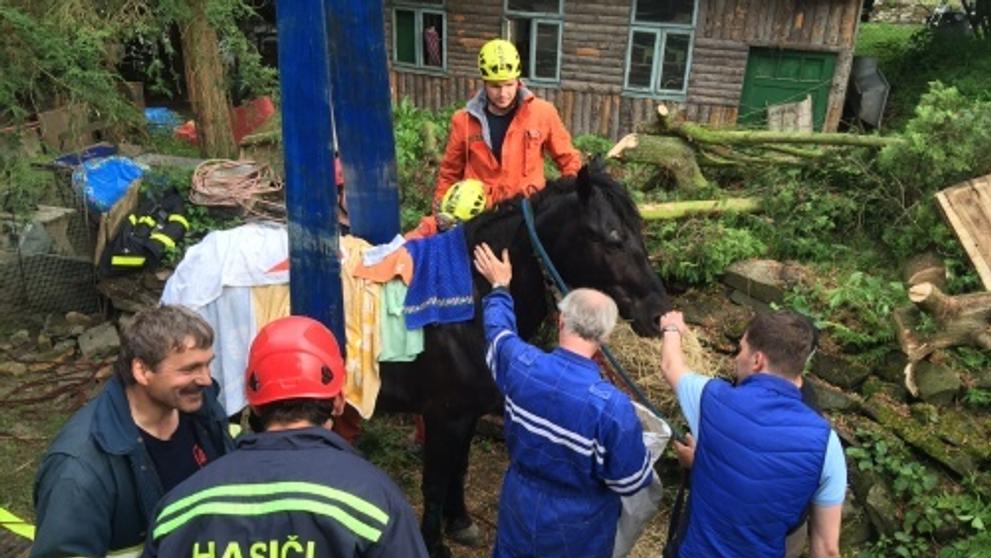 Záchrana koně z hluboké studny v Kružberku - 3