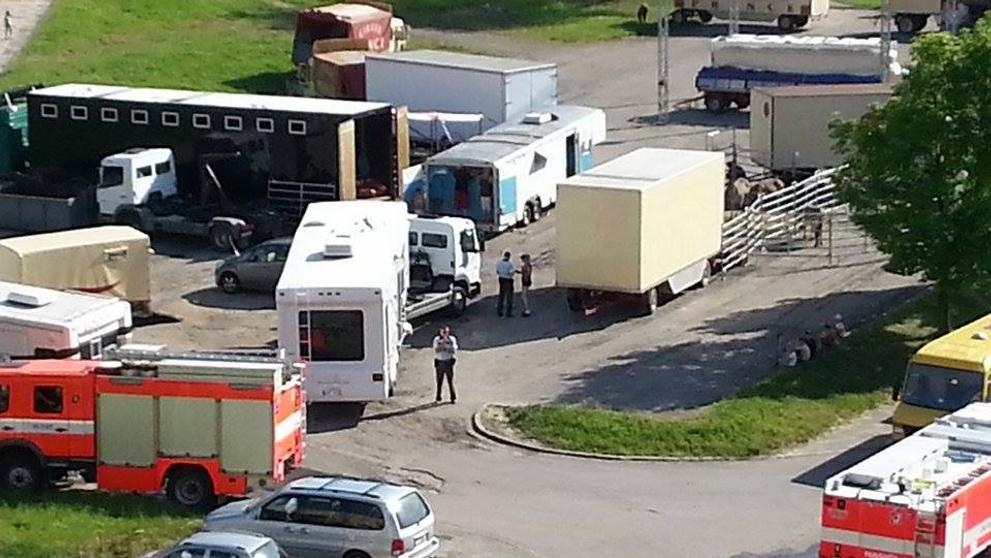 Lachtan ve vedrech nepřežil převoz do karvinského cirkusu, dalšího zachránili hasiči