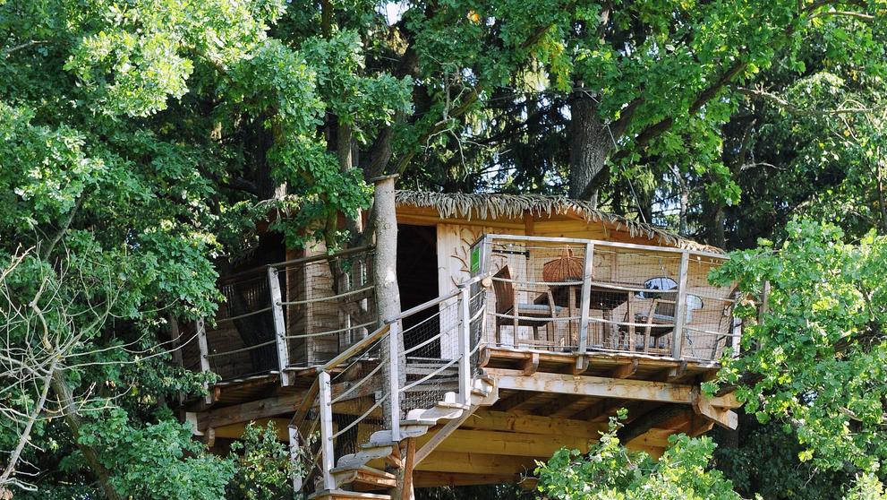 Tree house - 14