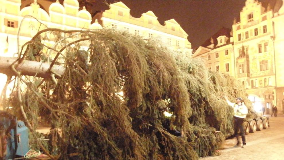 Vánoční strom na Staroměstském náměstí - 2