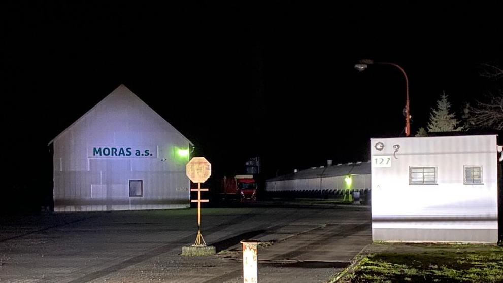 Výskyt ptačí chřipky na pardubicku - 1