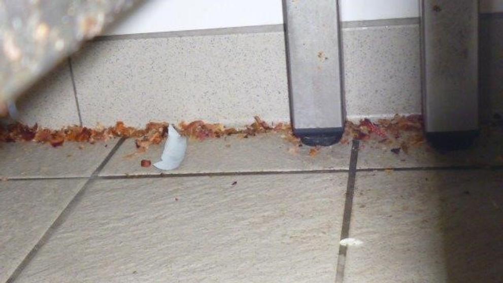 Hygienické podmínky v jihlavském řeznictví - 3