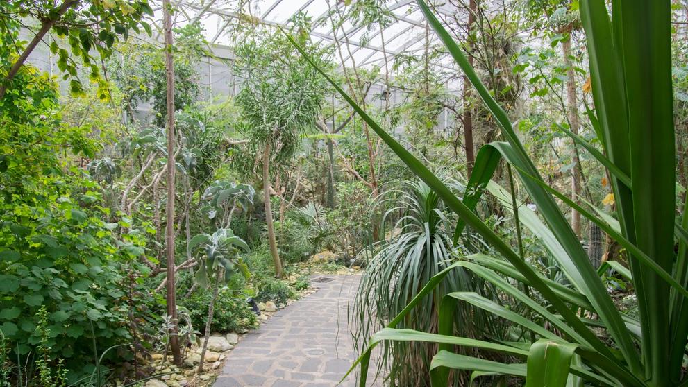 Botanická zahrada Teplice
