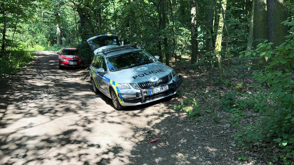 Policie vyšetřuje útok na muže u Hořovic