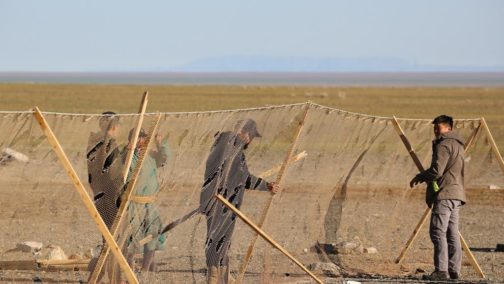 Záchrana sajg mongolských - 4