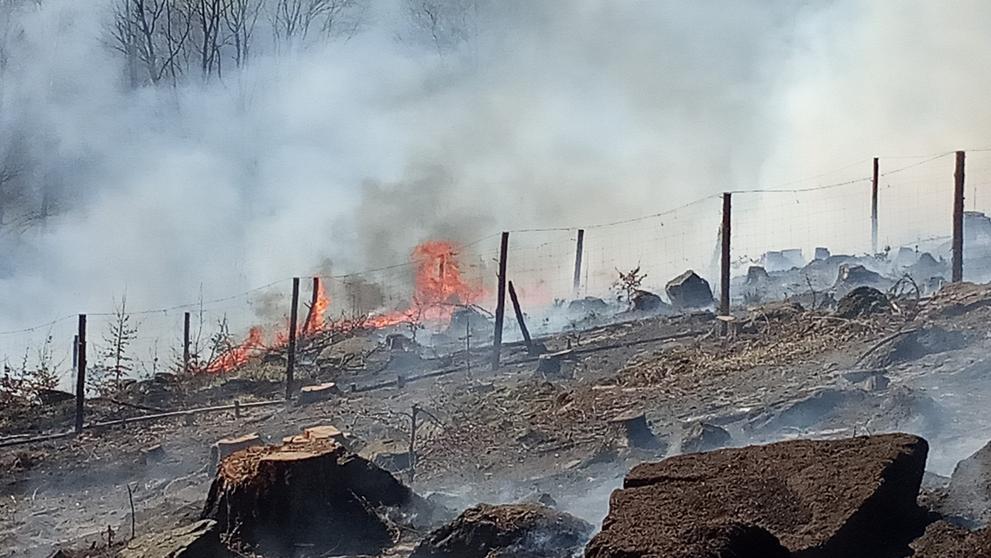 Požár lesního porostu v Hošticích nad Labem - 2