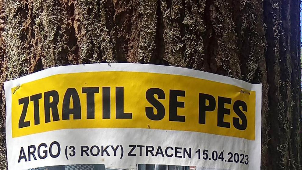 Ztracený pes (1)