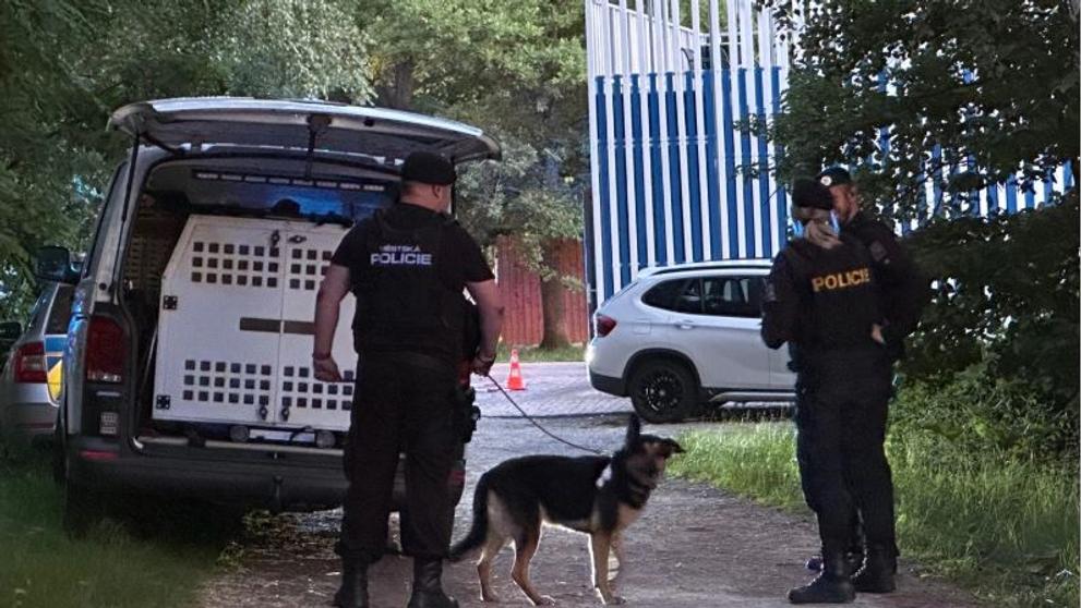 Policisté pátrají po majiteli fenky, který zmizel u Velkého Boleveckého rybníka v Plzni