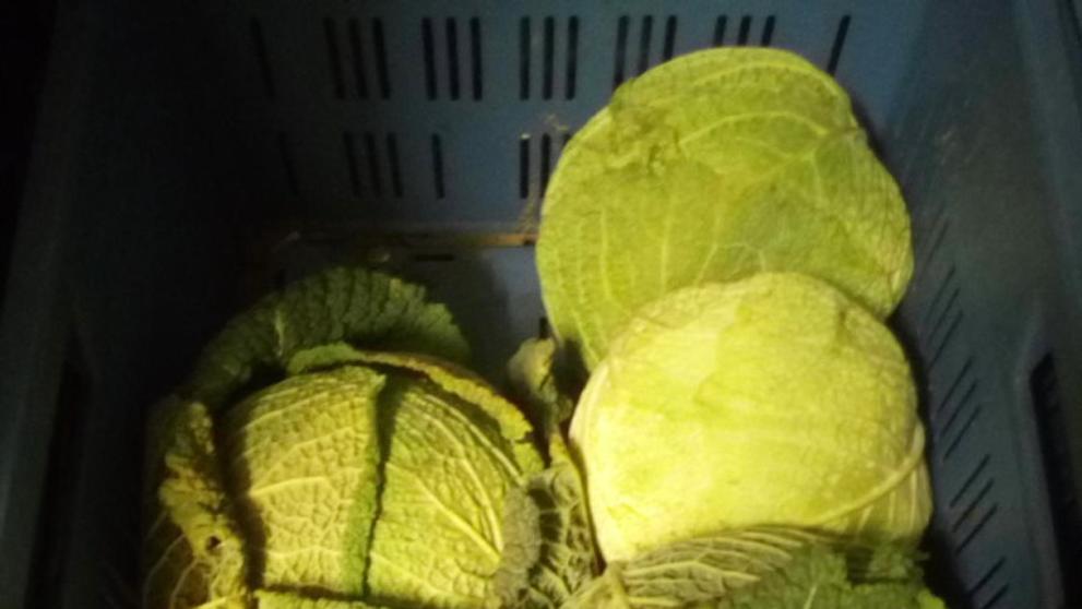 Zelenina s nadlimitní přítomností pesticidů - 1
