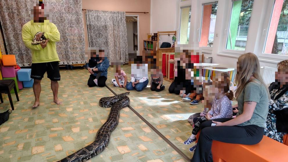 Program s hady v Mateřské škole Cetkovice