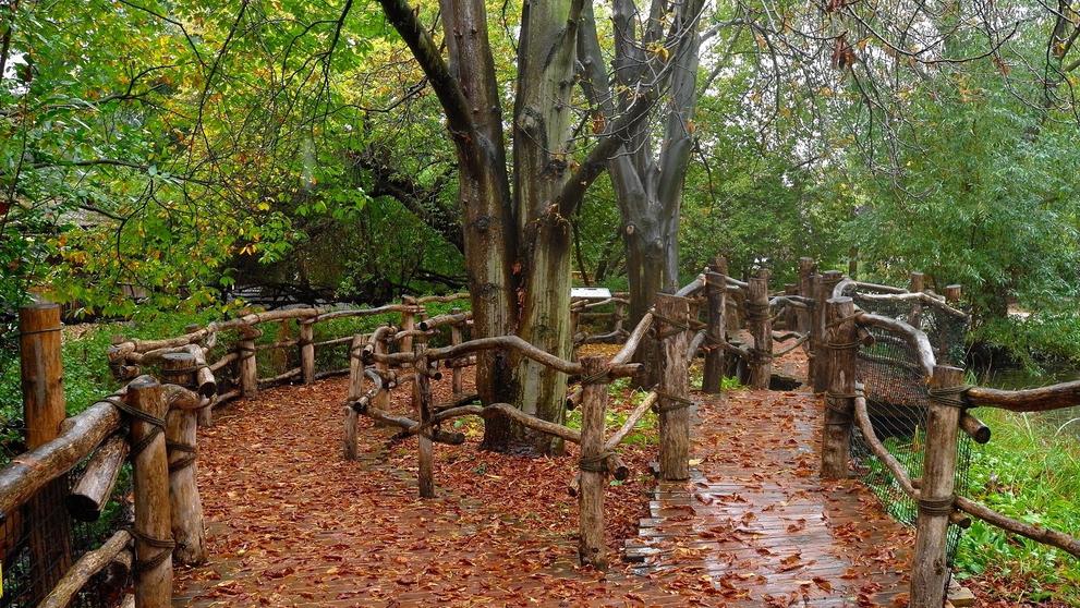 Opuštěný areál pražské zoo - 5