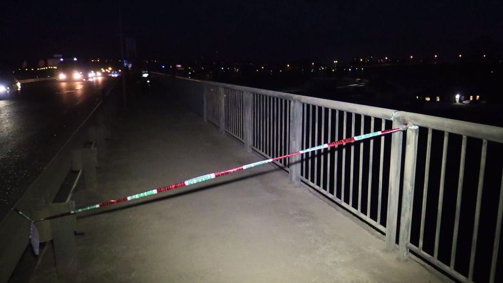 Psychicky nemocný muž skočil před policisty do Labe