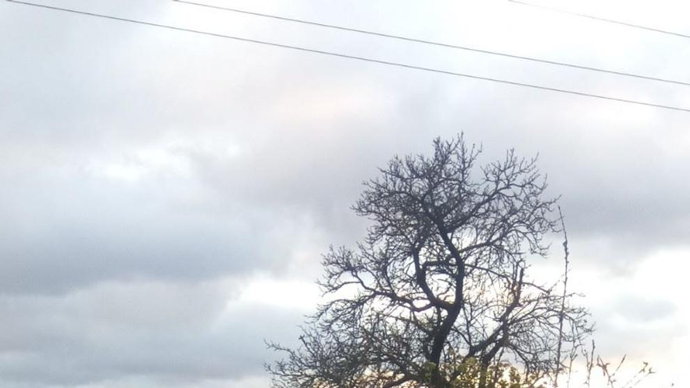 Následky silného větru