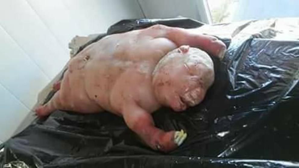 Jehněčí mutant