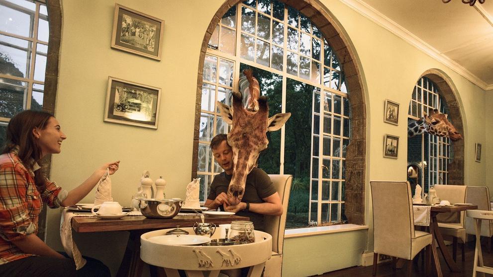 Hotel Giraffe Manor - 2