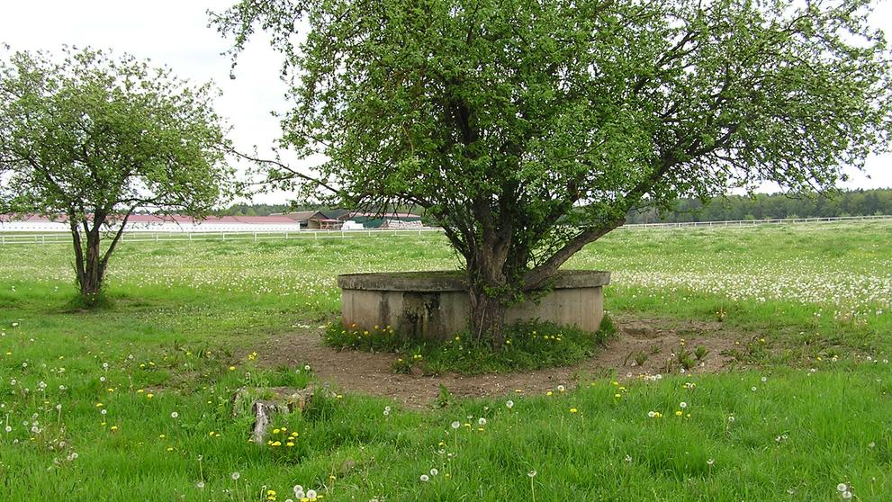 Studna. Sudoměřice u Bechyně