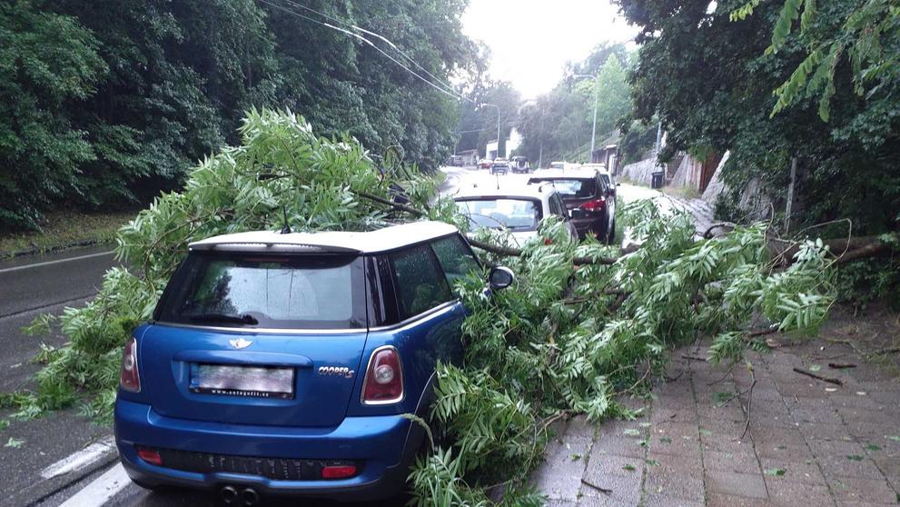 Jihomoravští hasiči odstraňovali následky čtvrtečních bouřek