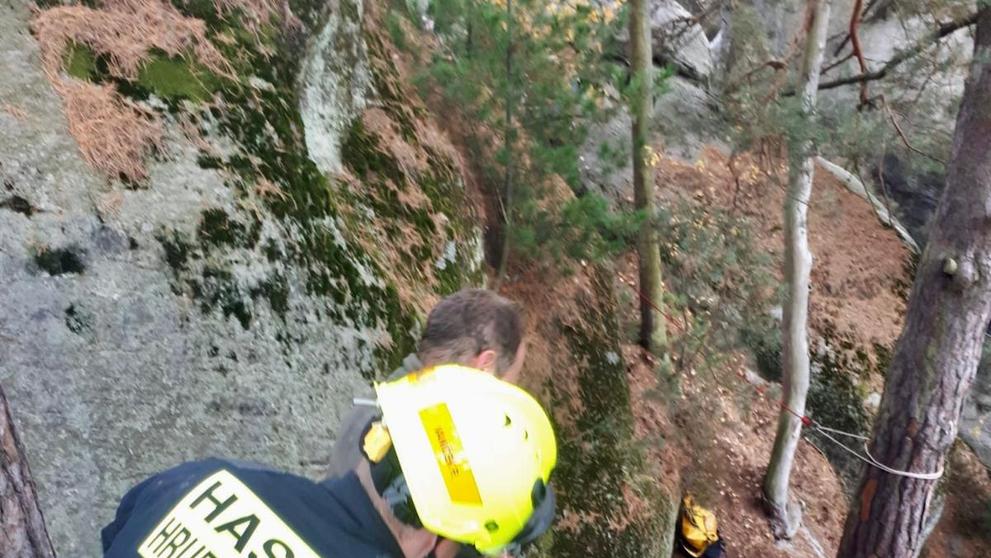 Hasiči se pro zaseklé divočáky museli slanit, aby je osvobodili