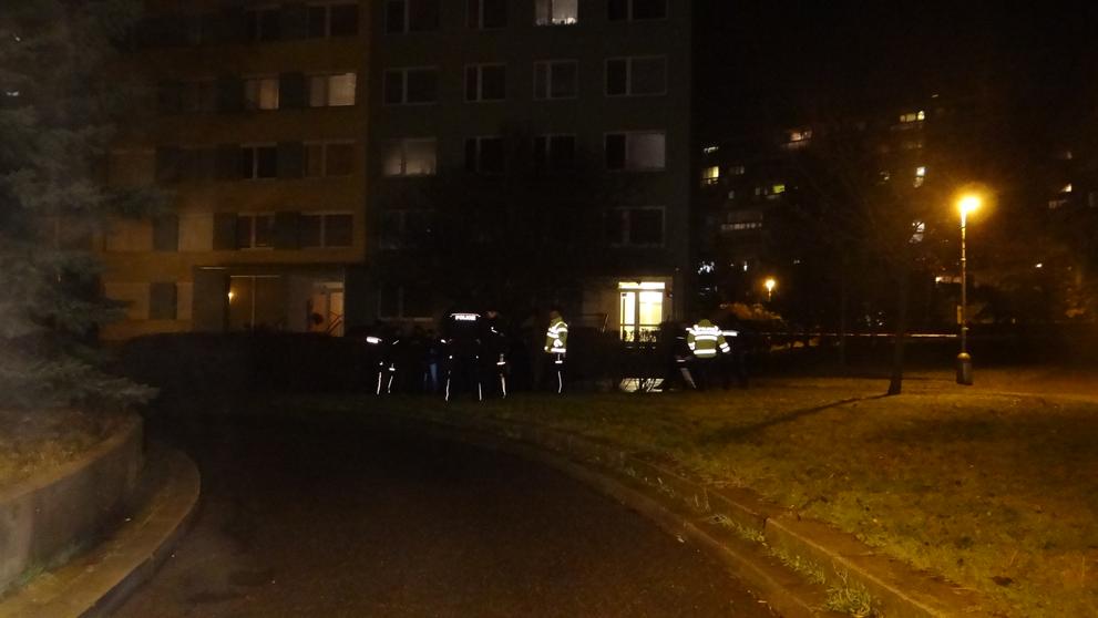 Policisté dlouho zajišťovali před panelákem stopy a vyslýchali svědky