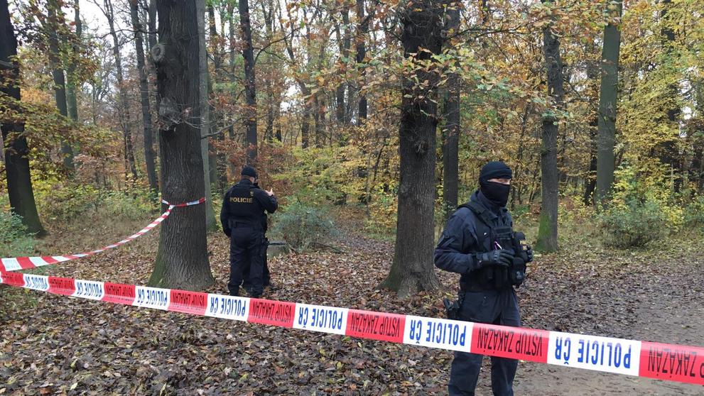 Úterní pátrání v oboře Hvězda - 2