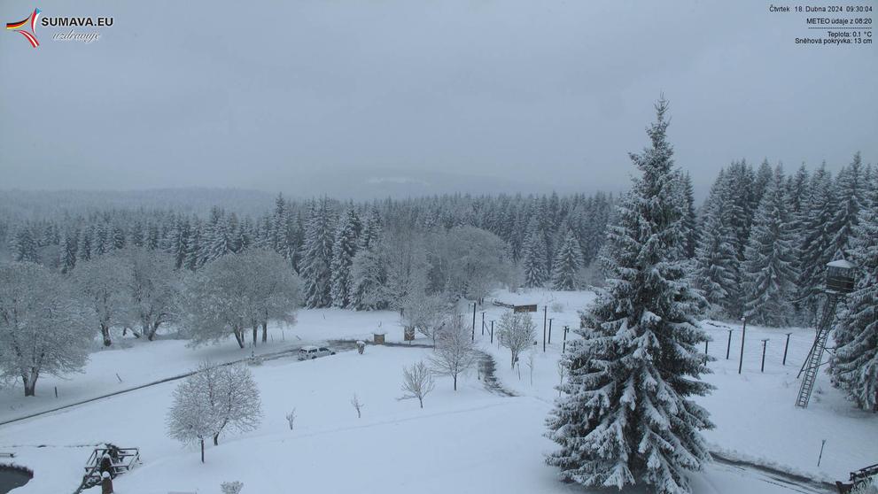 Bučina