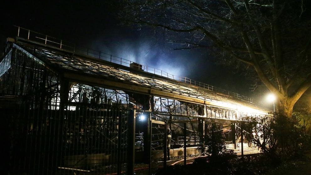 V německé zoo vyhořel pavilon opic