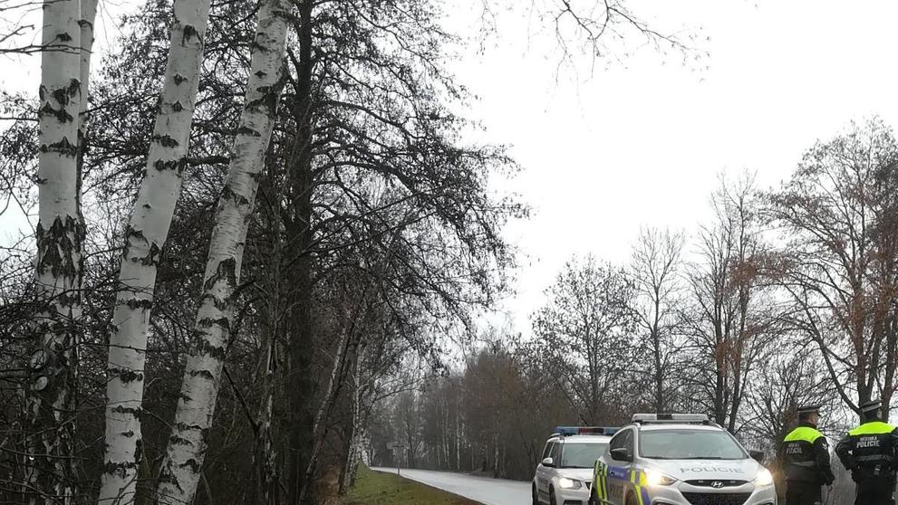 Smrtelná nehoda u Vimperku - 3