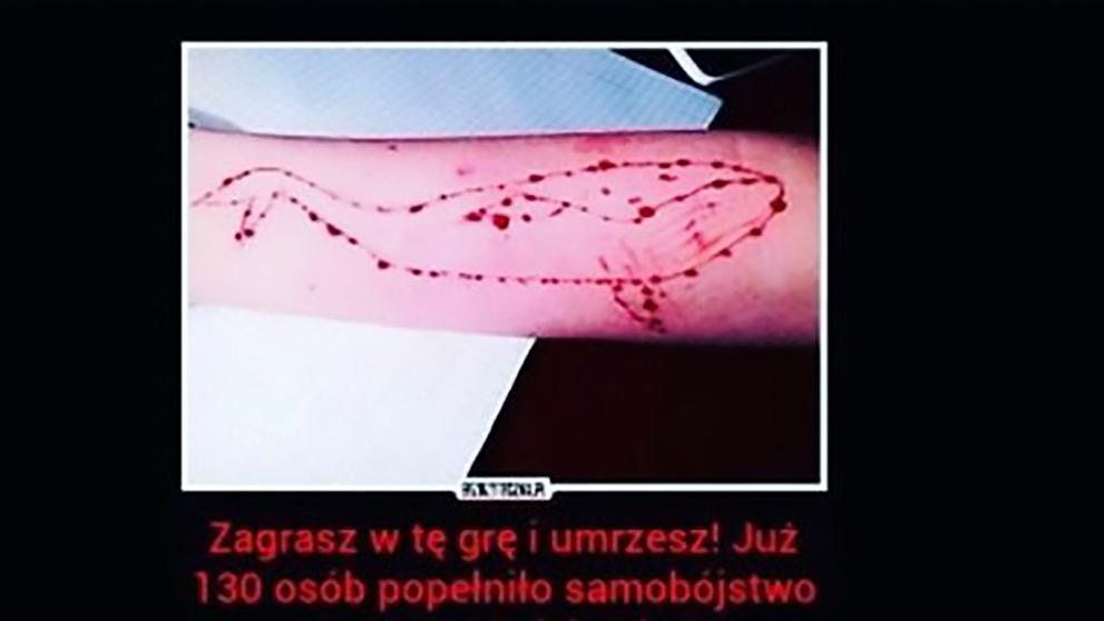 Modrá velryba
