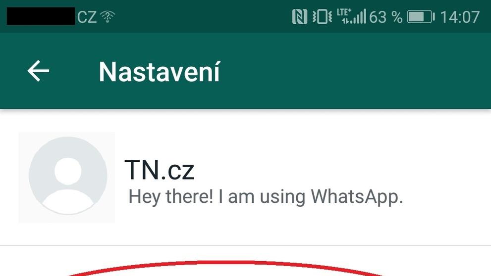 Jak skrýt viditelnost na WhatsApp - 4