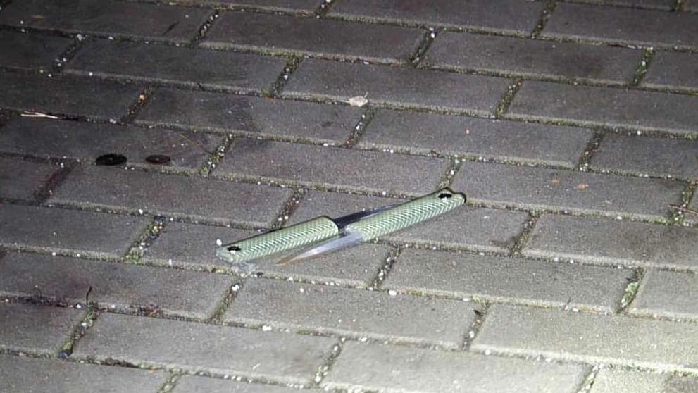 Vyšetřování na místě činu (2)
