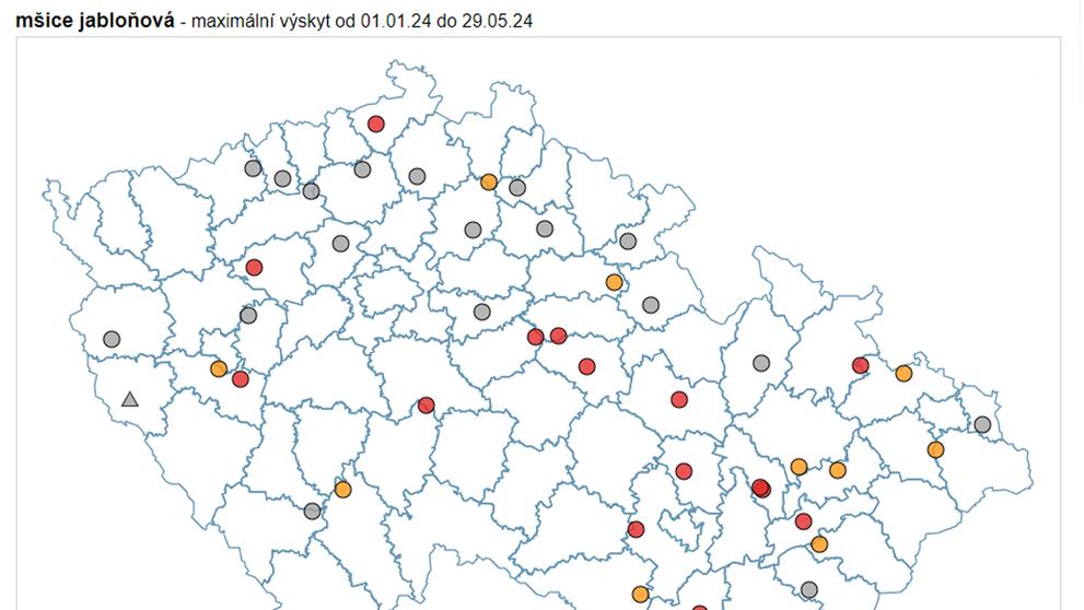 Výskyt mšice jabloňové