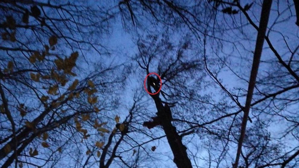 Paraglidista visel ze stromu! Silný vítr mu sbalil padák - 4