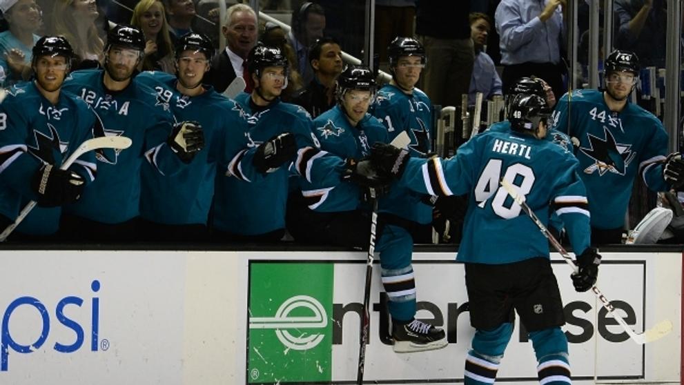 Hokejová kometa Tomáš Hertl - 1