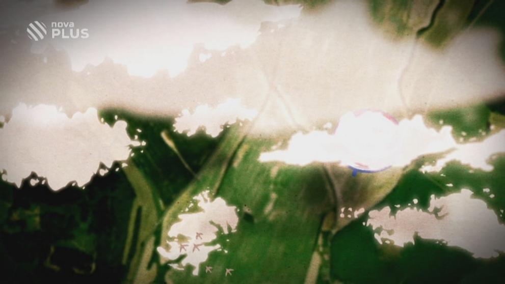 2014-07-29_Vikendove-prazdniny-B029462-NP - VTHUMB