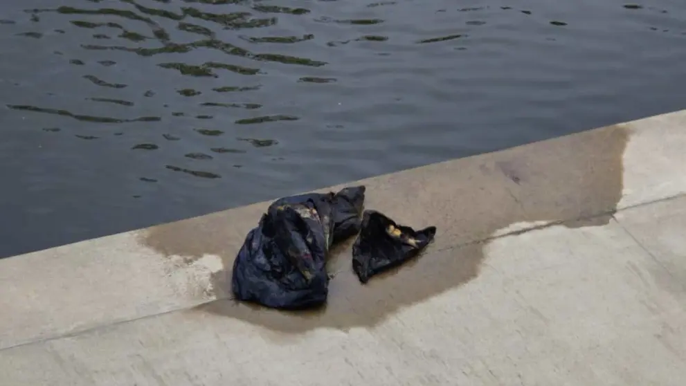 V řece Radbuze byla nalezena lidská hlava