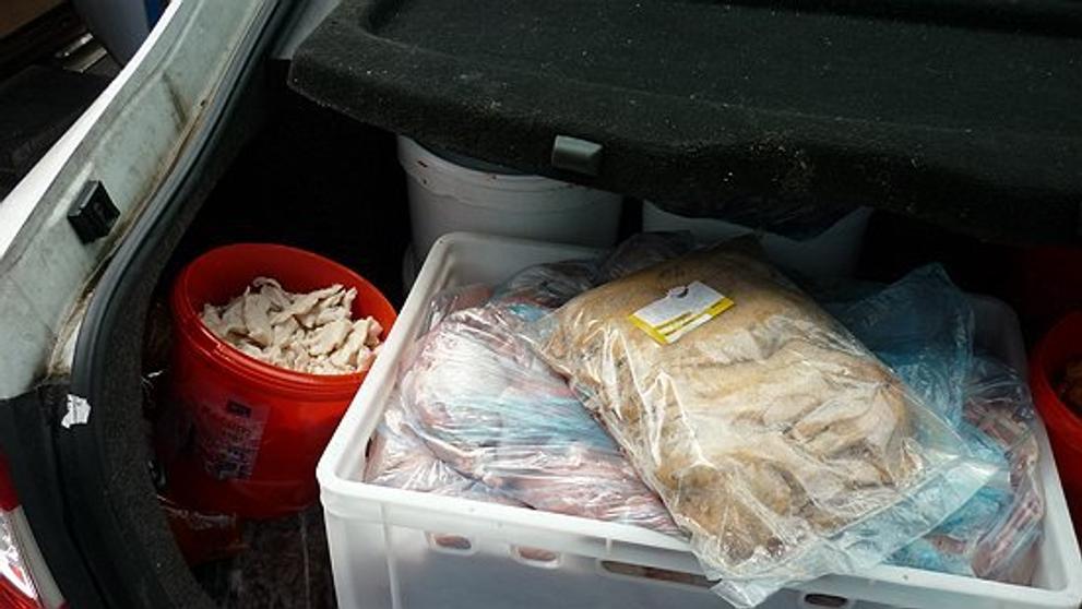 Likvidace potravin ve stánku Gyros v Ústí nad Labem - 2