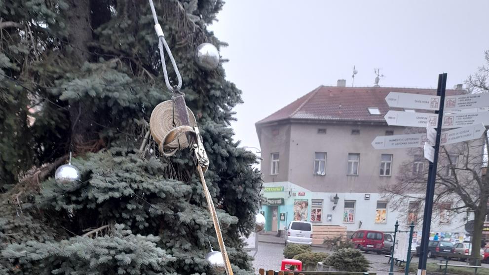 KŘIVÝ VÁNOČNÍ STROM - 1