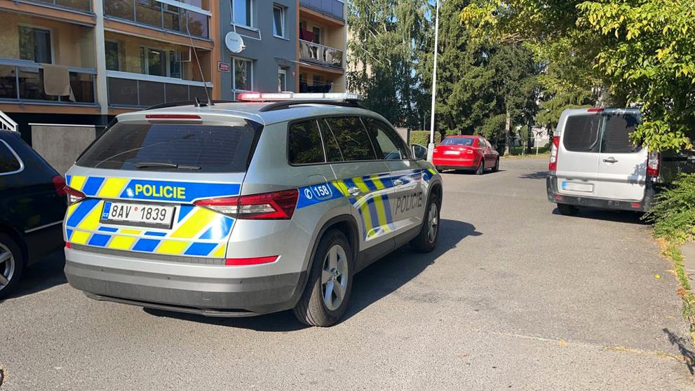 Muž měl vytáhnout vzduchovku na delniky (4)