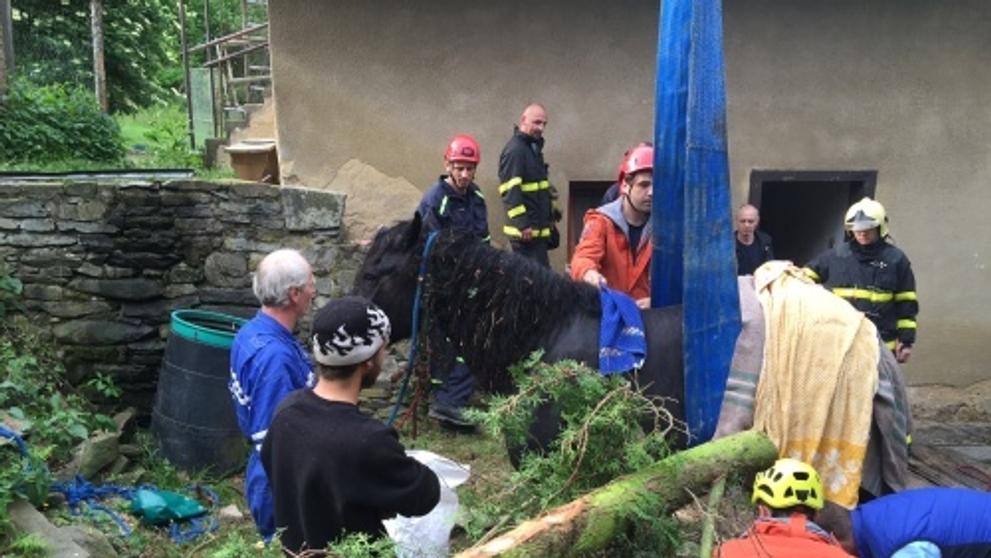 Záchrana koně z hluboké studny v Kružberku - 2