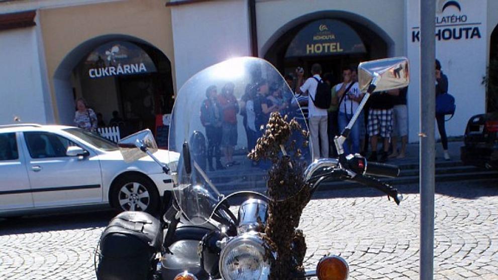 Včely obsadily v Kroměříži motocykl