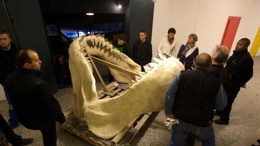 Megalodon - 4