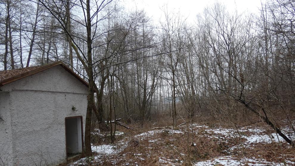 Pozemek. Třebotovice u Českých Budějovic